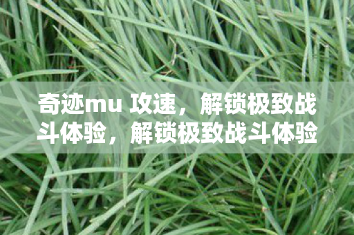 奇迹mu攻速升级攻略图片