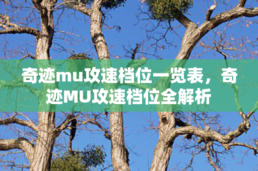 奇迹mu攻速档位一览表图片