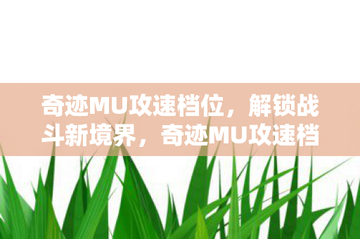 奇迹MU攻速档位图片