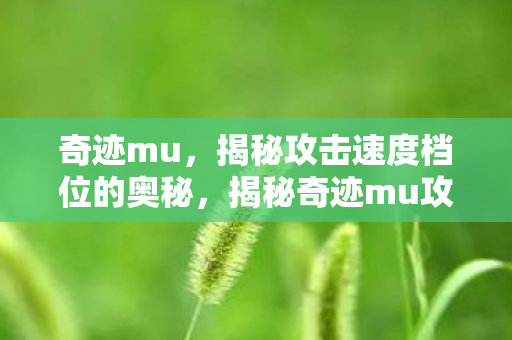 揭秘奇迹mu攻击速度档位奥秘图片