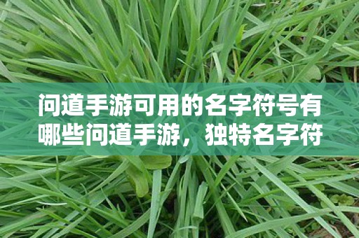 问道手游可用的名字符号有哪些问道手游，独特名字符号打造个性角色，问道手游，独特名字符号打造个性角色
