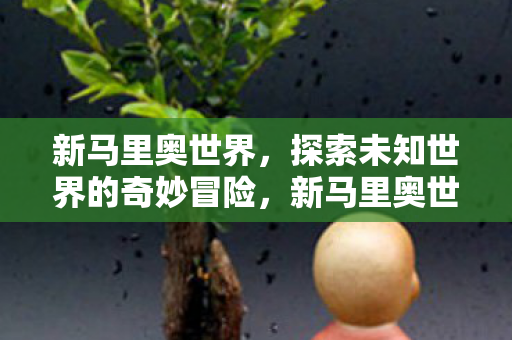 探索未知世界的奇妙冒险图片