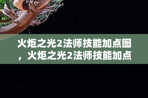 火炬之光2法师技能加点攻略图片