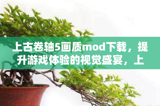 上古卷轴5画质mod下载图片