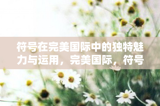 符号在完美国际中的独特魅力与运用图片