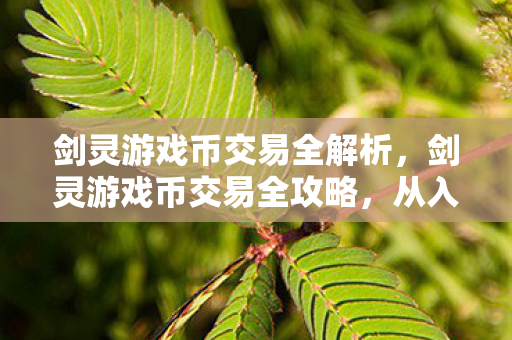 剑灵游戏币交易全解析图片