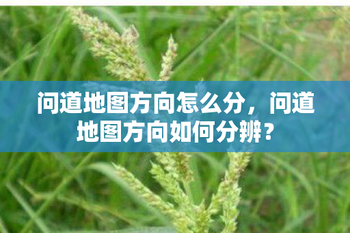 问道地图方向怎么分，问道地图方向如何分辨？