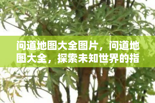 问道地图大全图片，问道地图大全，探索未知世界的指南