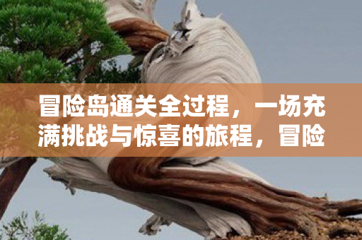 一场充满挑战与惊喜的旅程图片