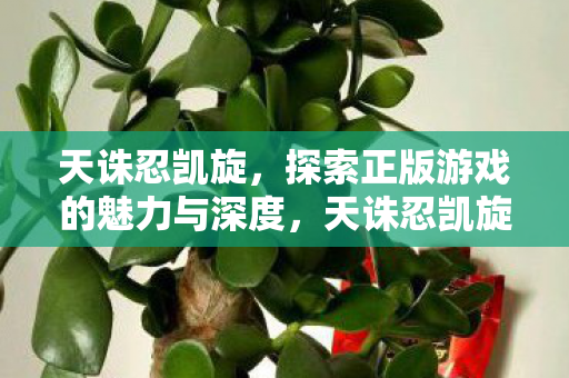 探索正版游戏的魅力与深度图片