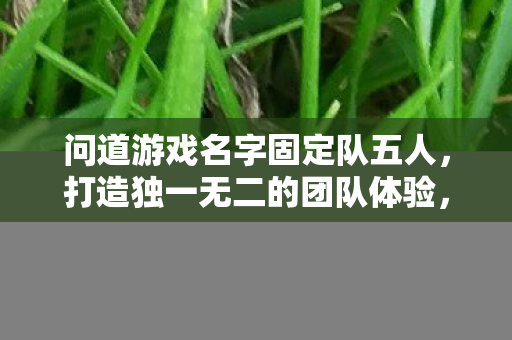 问道游戏名字固定队五人,打造独一无二的团队体验,打造独一无二的五人固定队,问道游戏团队体验 问道游戏名字固定队五人,打造独一无二的团队体验,打造独一无二的五人固定队,问道游戏团队体验