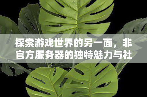 探索游戏世界的另一面,非官方服务器的独特魅力与社区文化,非官方服务器的独特魅力与社区文化,探索游戏世界的另一面 探索游戏世界的另一面,非官方服务器的独特魅力与社区文化,非官方服务器的独特魅力与社区文化,探索游戏世界的另一面