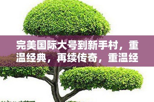 完美国际大号回归新手村图片