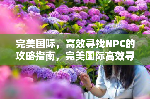 完美国际高效寻找NPC攻略指南图片