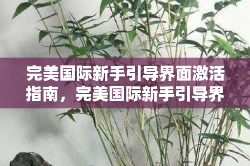 完美国际新手引导界面激活全攻略图片