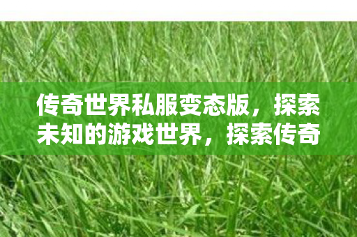 探索传奇世界私服变态版图片