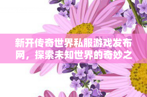 新开传奇世界私服游戏发布网图片