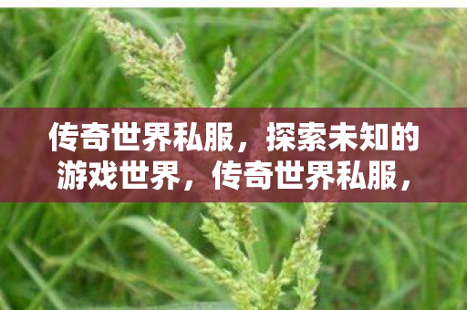 探索未知的游戏世界图片