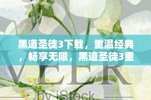 黑道圣徒3重温经典图片