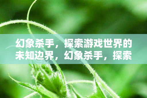 探索游戏世界的未知边界图片