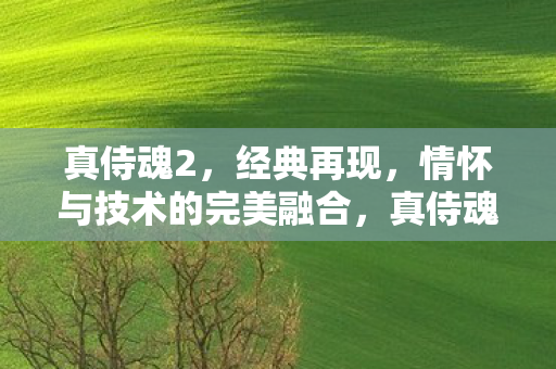 情怀与技术的完美融合图片
