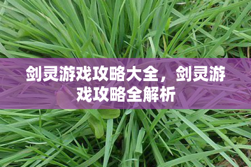 剑灵游戏攻略全解析图片