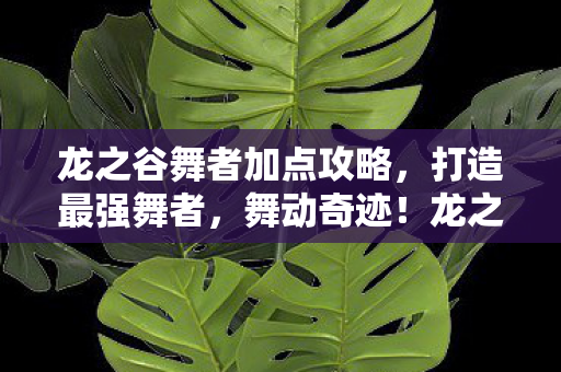 龙之谷舞者加点攻略图片