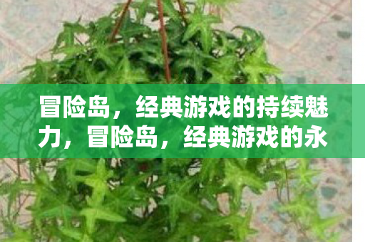 经典游戏的持续魅力图片