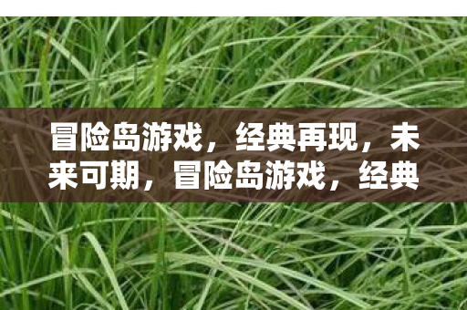 冒险岛游戏图片
