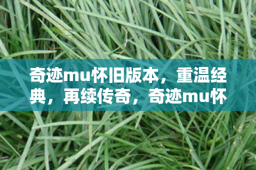 奇迹mu怀旧版重温经典图片