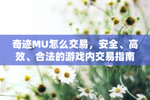 奇迹MU安全高效合法游戏内交易全攻略图片