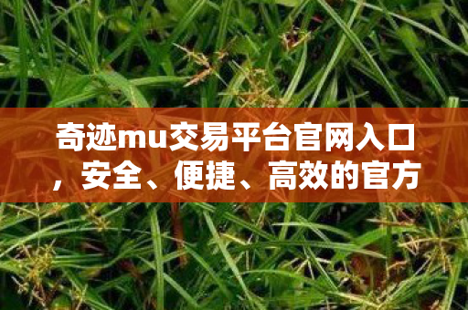 奇迹mu交易平台官网入口图片