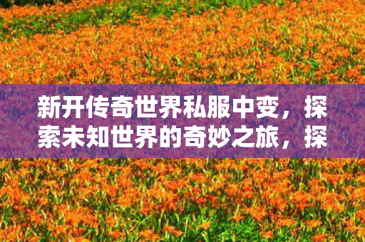 探索新开传奇世界私服中变图片