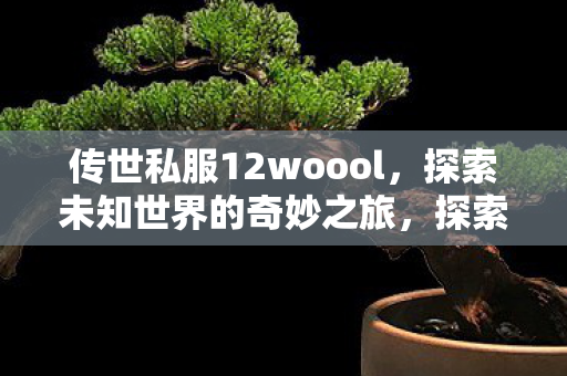 探索传世私服12woool图片