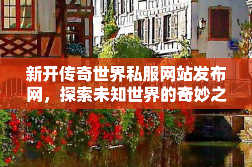 新开传奇世界私服网站发布网图片