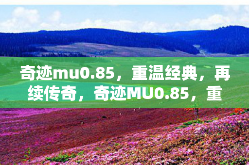 续写传奇之旅图片