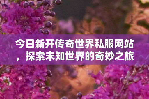今日新开传奇世界私服网站图片