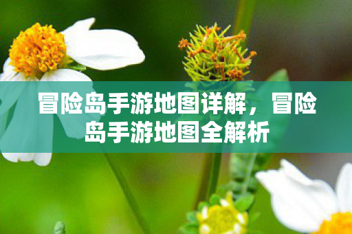 冒险岛手游地图全解析图片