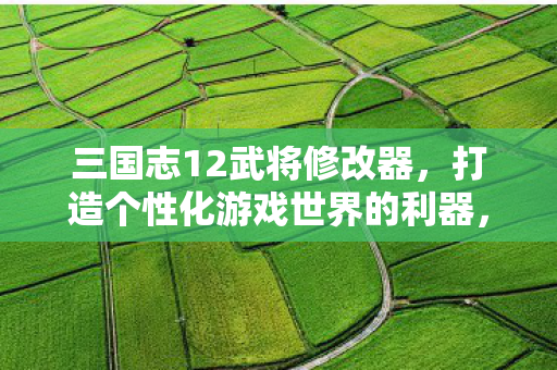 打造个性化游戏世界的利器图片