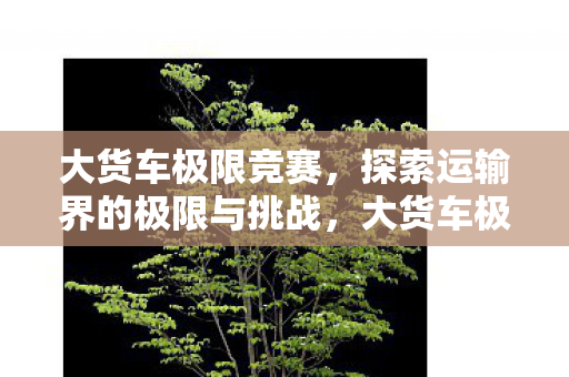探索运输界的极限与挑战图片