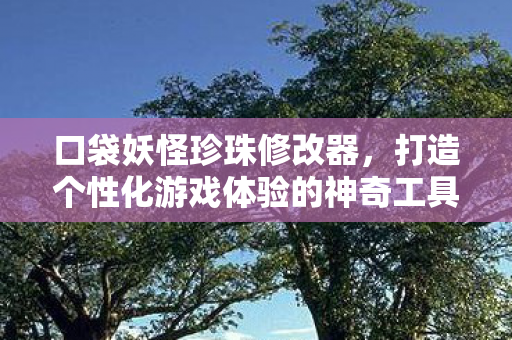 打造个性化游戏体验的神奇工具图片
