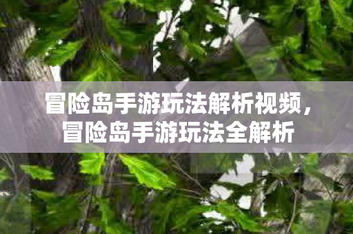 冒险岛手游玩法解析视频图片