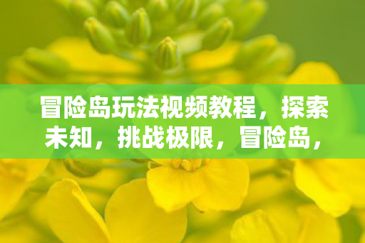 挑战极限的玩法视频教程图片