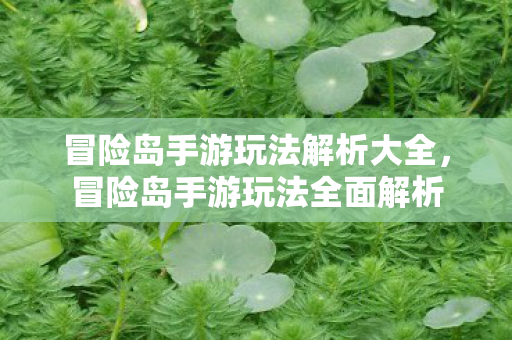 冒险岛手游玩法解析大全图片