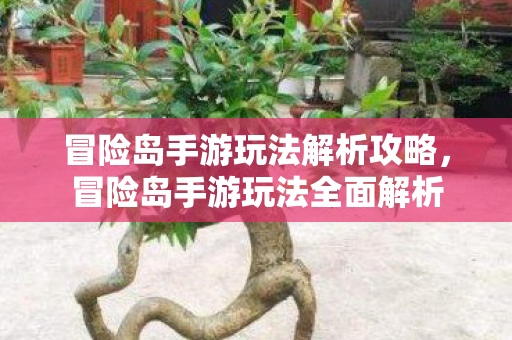 冒险岛手游玩法解析攻略图片