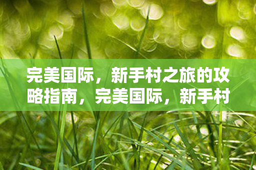 新手村之旅的攻略指南图片