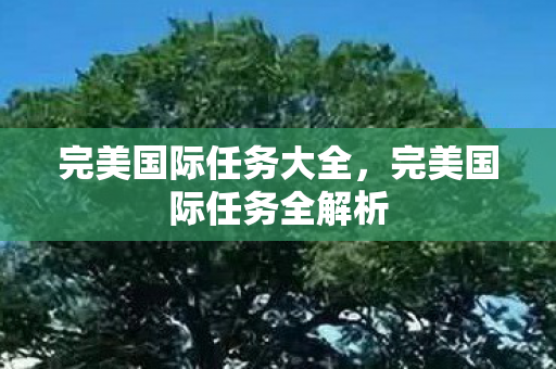 完美国际任务全解析图片