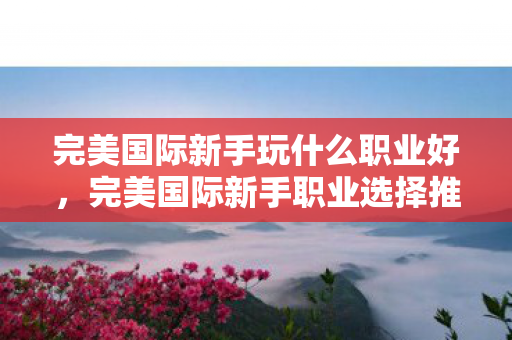 完美国际新手玩什么职业好图片