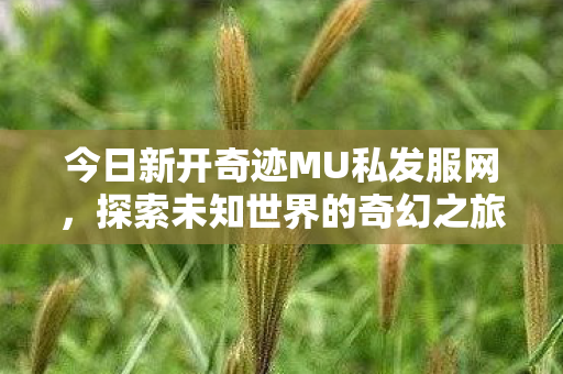 今日新开奇迹MU私发服网图片