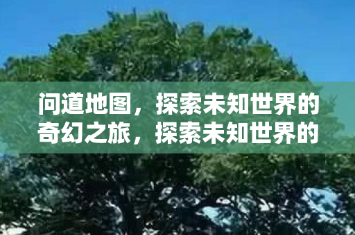 问道地图，探索未知世界的奇幻之旅，探索未知世界的奇幻之旅，问道地图